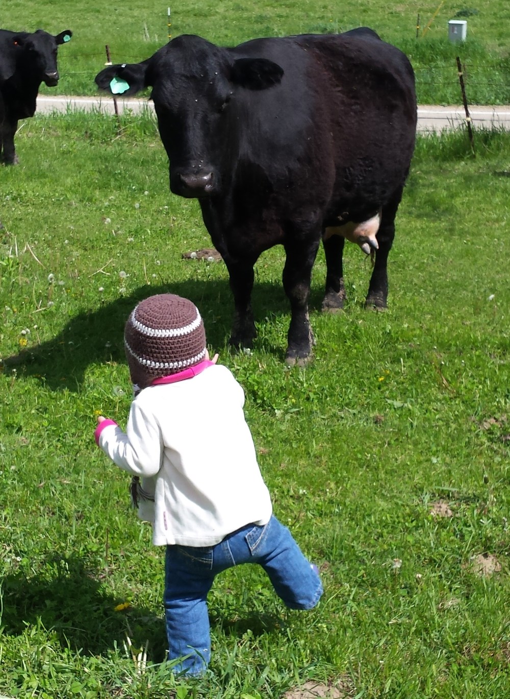 20160515_150755_crop